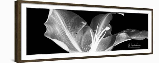 Lily 1-Albert Koetsier-Framed Premium Giclee Print