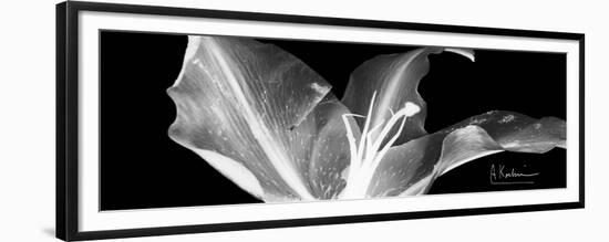 Lily 1-Albert Koetsier-Framed Premium Giclee Print