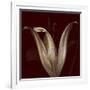 Lily 2-Johan Lilja-Framed Giclee Print