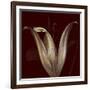 Lily 2-Johan Lilja-Framed Giclee Print