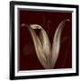 Lily 2-Johan Lilja-Framed Giclee Print