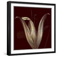 Lily 2-Johan Lilja-Framed Giclee Print