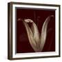 Lily 2-Johan Lilja-Framed Giclee Print