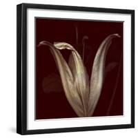 Lily 2-Johan Lilja-Framed Giclee Print