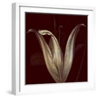 Lily 2-Johan Lilja-Framed Giclee Print