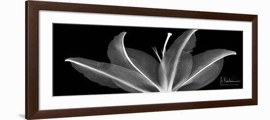 Lily 2-Albert Koetsier-Framed Premium Giclee Print