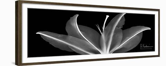 Lily 2-Albert Koetsier-Framed Premium Giclee Print