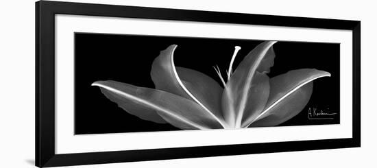 Lily 2-Albert Koetsier-Framed Premium Giclee Print