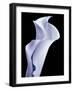 Lily 3-Doug Chinnery-Framed Photographic Print