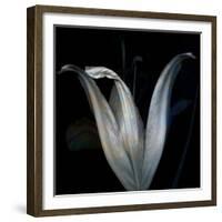 Lily 3-Johan Lilja-Framed Giclee Print