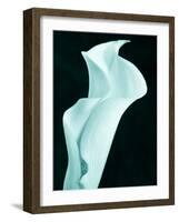 Lily 9-Doug Chinnery-Framed Photographic Print