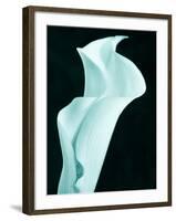 Lily 9-Doug Chinnery-Framed Photographic Print