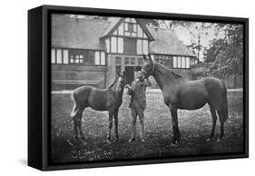 Lily Agnes, with Orelio by Bend Or, Winner of £4955, 1894-null-Framed Stretched Canvas