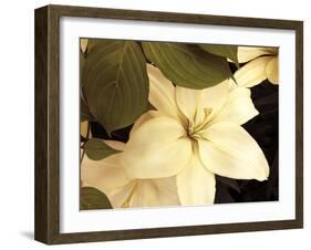 Lily and Leaves-Rebecca Swanson-Framed Photographic Print