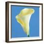 Lily Bloom VI-Bill Philip-Framed Giclee Print