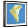 Lily Bloom VI-Bill Philip-Framed Giclee Print