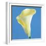 Lily Bloom VI-Bill Philip-Framed Giclee Print