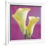 Lily Bloom VII-Bill Philip-Framed Giclee Print