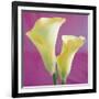 Lily Bloom VII-Bill Philip-Framed Giclee Print