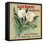 Lily Brand - Porterville, California - Citrus Crate Label-Lantern Press-Framed Stretched Canvas