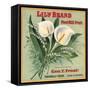 Lily Brand - Porterville, California - Citrus Crate Label-Lantern Press-Framed Stretched Canvas