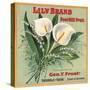 Lily Brand - Porterville, California - Citrus Crate Label-Lantern Press-Stretched Canvas