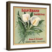 Lily Brand - Porterville, California - Citrus Crate Label-Lantern Press-Framed Art Print