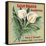 Lily Brand - Porterville, California - Citrus Crate Label-Lantern Press-Framed Stretched Canvas