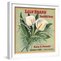 Lily Brand - Porterville, California - Citrus Crate Label-Lantern Press-Framed Premium Giclee Print