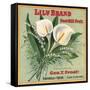 Lily Brand - Porterville, California - Citrus Crate Label-Lantern Press-Framed Stretched Canvas