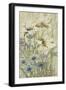 Lily Chinoiserie II-Tim OToole-Framed Art Print