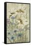 Lily Chinoiserie II-Tim OToole-Framed Stretched Canvas