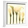 Lily Cluster-Katja Marzahn-Framed Art Print