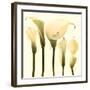 Lily Cluster-Katja Marzahn-Framed Art Print