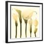 Lily Cluster-Katja Marzahn-Framed Art Print