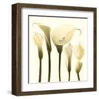 Lily Cluster-Katja Marzahn-Framed Giclee Print