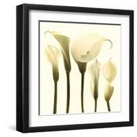 Lily Cluster-Katja Marzahn-Framed Giclee Print