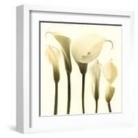 Lily Cluster-Katja Marzahn-Framed Giclee Print