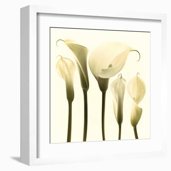 Lily Cluster-Katja Marzahn-Framed Giclee Print