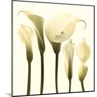 Lily Cluster-Katja Marzahn-Mounted Giclee Print