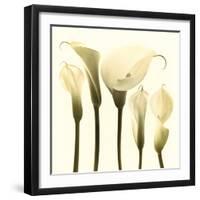 Lily Cluster-Katja Marzahn-Framed Giclee Print