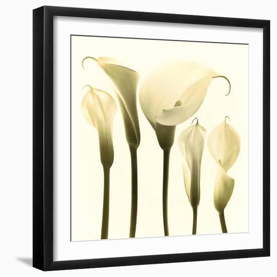 Lily Cluster-Katja Marzahn-Framed Giclee Print