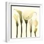 Lily Cluster-Katja Marzahn-Framed Giclee Print