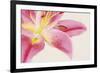 Lily Dawn-Irene Suchocki-Framed Giclee Print