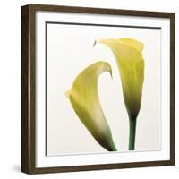 Lily Duo-Bill Philip-Framed Giclee Print