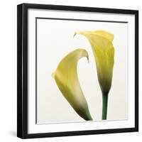 Lily Duo-Bill Philip-Framed Giclee Print