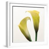 Lily Duo-Bill Philip-Framed Giclee Print