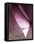 Lily Dusk I-Jonathan Nourock-Framed Stretched Canvas