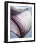 Lily Dusk III-Jonathan Nourock-Framed Photographic Print