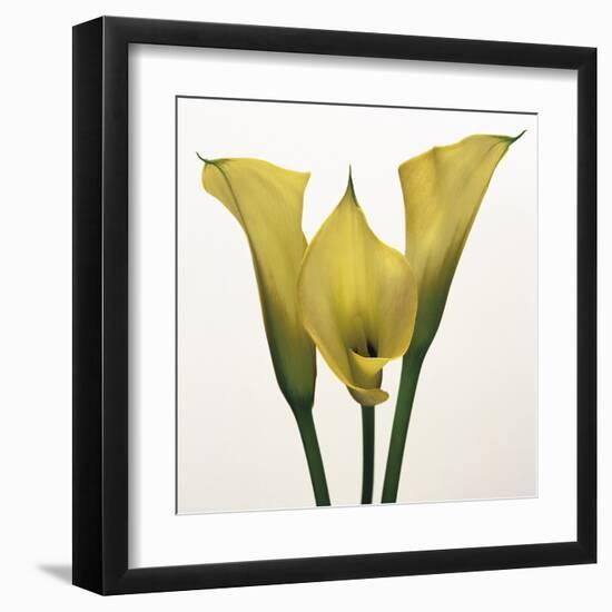 Lily Ensemble-Bill Philip-Framed Giclee Print